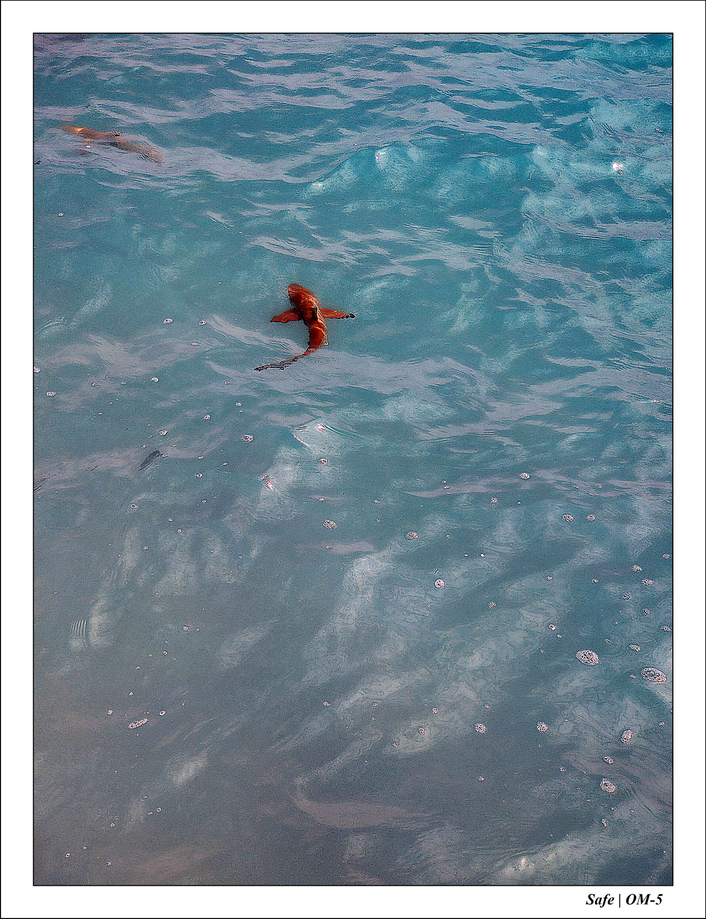 2024 - 08 -Angsana Velavaru - 29